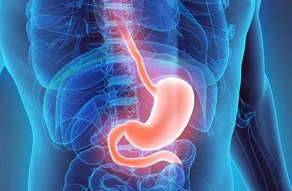 Acid Reflux Stomach Diagram
